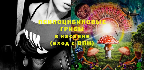 эйфоретик Алексин