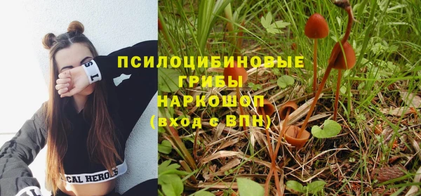 эйфоретик Алексин