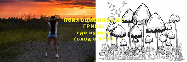 героин Алзамай