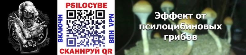Псилоцибиновые грибы MAGIC MUSHROOMS Каневская